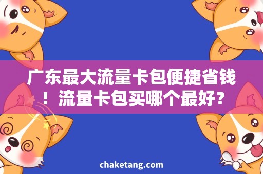 广东最大流量卡包便捷省钱！流量卡包买哪个最好？