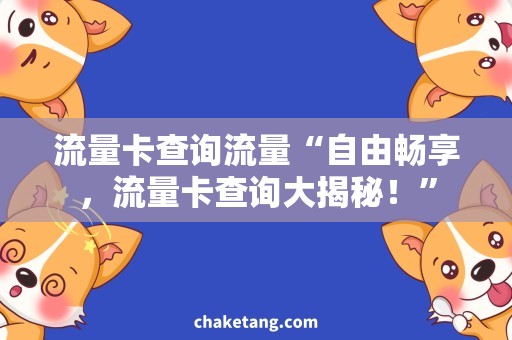 流量卡查询流量“自由畅享，流量卡查询大揭秘！”