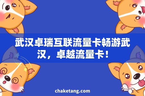 武汉卓瑞互联流量卡畅游武汉，卓越流量卡！
