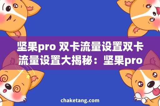 坚果pro 双卡流量设置双卡流量设置大揭秘：坚果pro实现流量双开这样搞定！