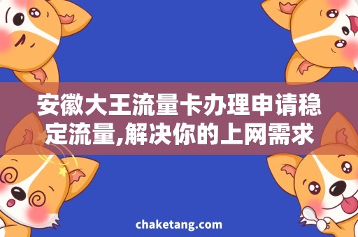 安徽大王流量卡办理申请稳定流量,解决你的上网需求
