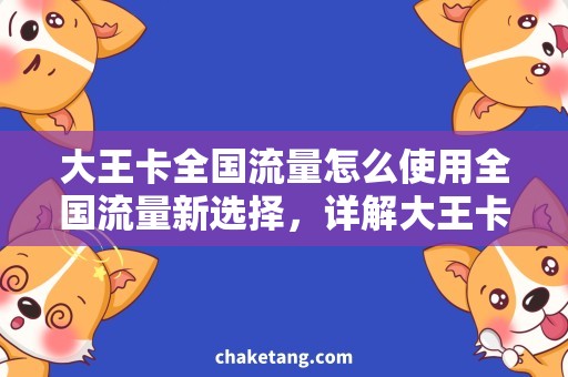 大王卡全国流量怎么使用全国流量新选择，详解大王卡用法