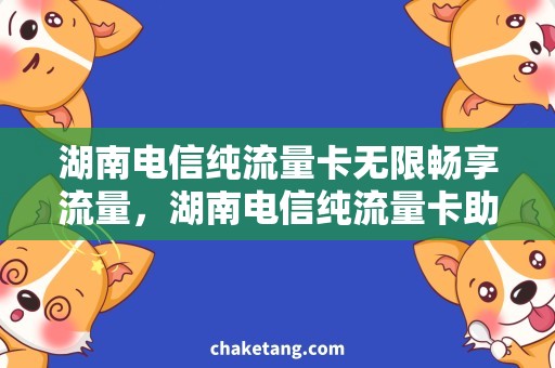 湖南电信纯流量卡无限畅享流量，湖南电信纯流量卡助你随心所欲