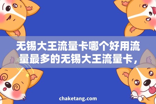 无锡大王流量卡哪个好用流量最多的无锡大王流量卡，买哪个更实惠？