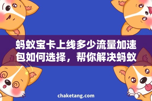 蚂蚁宝卡上线多少流量加速包如何选择，帮你解决蚂蚁宝卡上线流量充值难题