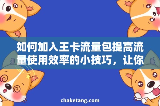 如何加入王卡流量包提高流量使用效率的小技巧，让你轻松使用王卡流量包