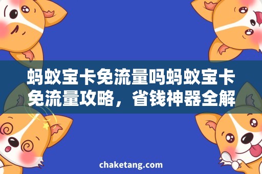 蚂蚁宝卡免流量吗蚂蚁宝卡免流量攻略，省钱神器全解析