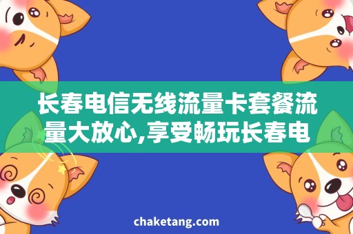 长春电信无线流量卡套餐流量大放心,享受畅玩长春电信无线套餐
