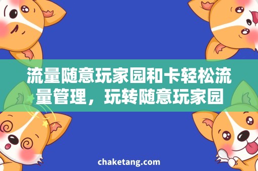 流量随意玩家园和卡轻松流量管理,玩转随意玩家园 流量随意玩家园和卡轻松流量管理,玩转随意玩家园