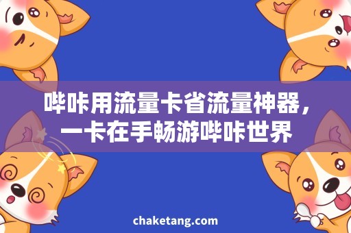 哔咔用流量卡省流量神器，一卡在手畅游哔咔世界
