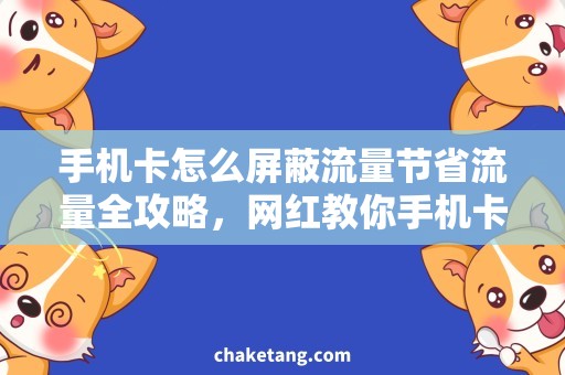 手机卡怎么屏蔽流量节省流量全攻略，网红教你手机卡怎么屏蔽流量