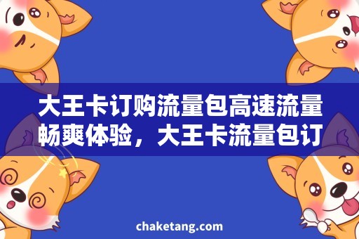 大王卡订购流量包高速流量畅爽体验，大王卡流量包订购攻略！