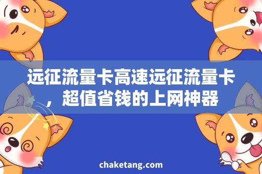 远征流量卡高速远征流量卡，超值省钱的上网神器