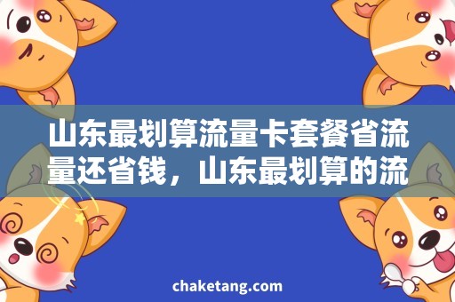 山东最划算流量卡套餐省流量还省钱，山东最划算的流量卡套餐推荐！