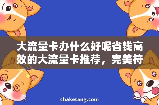 大流量卡办什么好呢省钱高效的大流量卡推荐，完美符合你的上网需求！