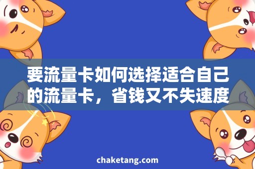 要流量卡如何选择适合自己的流量卡，省钱又不失速度？