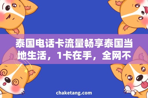 泰国电话卡流量畅享泰国当地生活，1卡在手，全网不愁！
