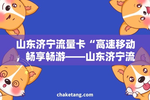山东济宁流量卡“高速移动，畅享畅游——山东济宁流量卡怎么选？”