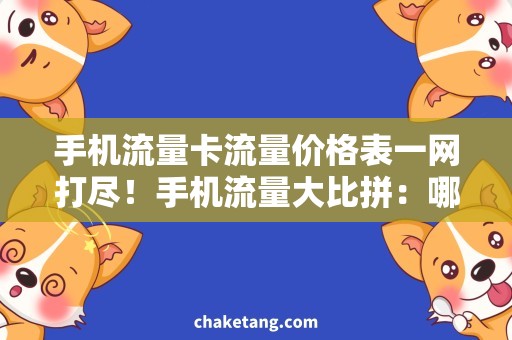 手机流量卡流量价格表一网打尽！手机流量大比拼：哪款流量卡性价比最高？