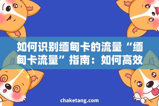 如何识别缅甸卡的流量“缅甸卡流量”指南：如何高效识别并使用？