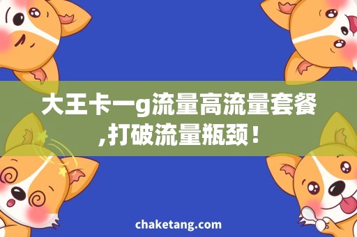 大王卡一g流量高流量套餐,打破流量瓶颈！