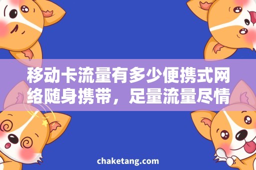 移动卡流量有多少便携式网络随身携带，足量流量尽情上网