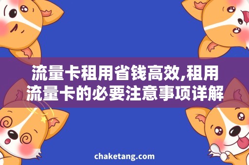 流量卡租用省钱高效,租用流量卡的必要注意事项详解