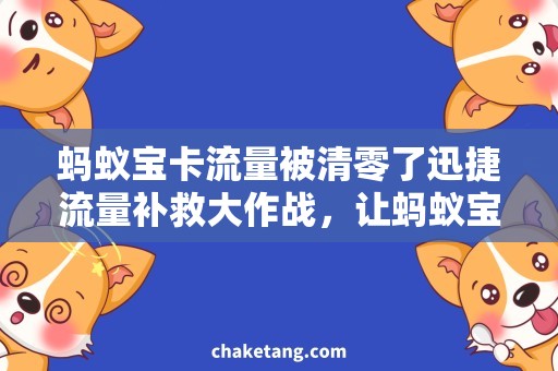 蚂蚁宝卡流量被清零了迅捷流量补救大作战，让蚂蚁宝卡流量被清零说再见！