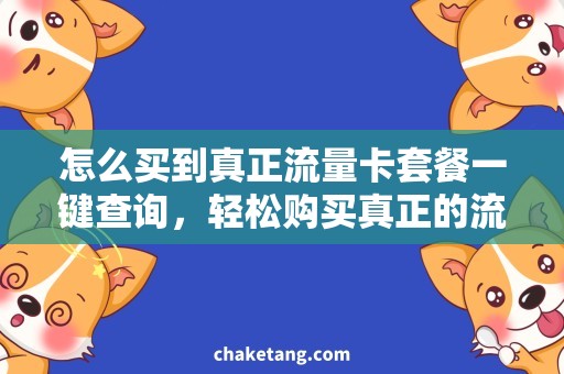 怎么买到真正流量卡套餐一键查询，轻松购买真正的流量卡套餐