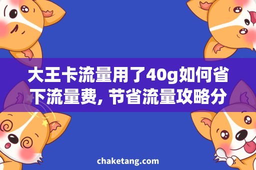 大王卡流量用了40g如何省下流量费, 节省流量攻略分享！