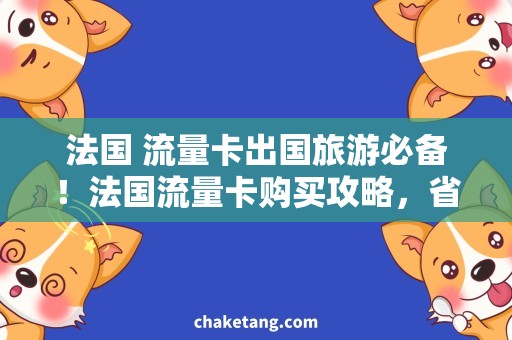 法国 流量卡出国旅游必备！法国流量卡购买攻略，省钱省心！
