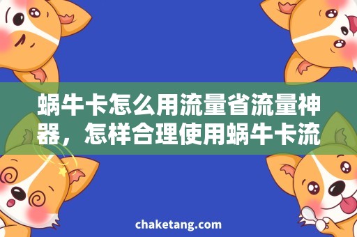 蜗牛卡怎么用流量省流量神器，怎样合理使用蜗牛卡流量