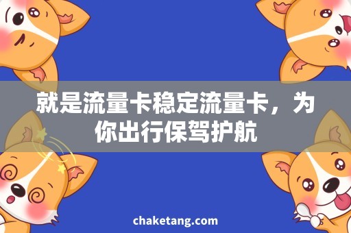 就是流量卡稳定流量卡，为你出行保驾护航