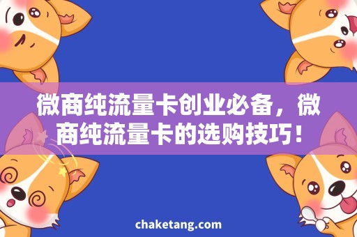 微商纯流量卡创业必备，微商纯流量卡的选购技巧！