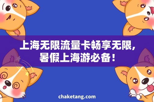 上海无限流量卡畅享无限,暑假上海游必备！
