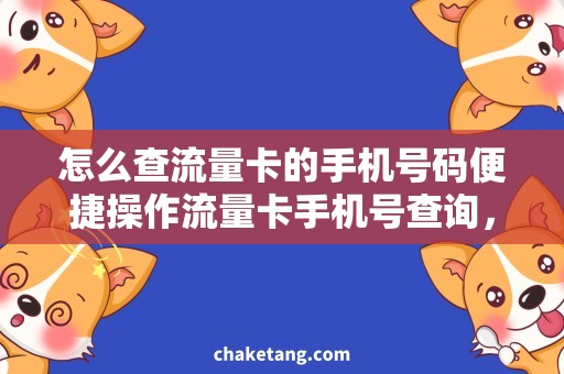 怎么查流量卡的手机号码便捷操作流量卡手机号查询，详细了解流量使用情况