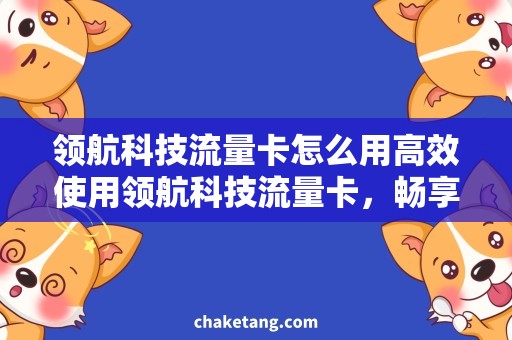领航科技流量卡怎么用高效使用领航科技流量卡，畅享无限网络流量