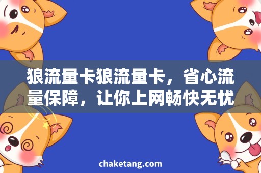 狼流量卡狼流量卡，省心流量保障，让你上网畅快无忧