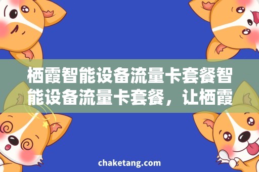 栖霞智能设备流量卡套餐智能设备流量卡套餐，让栖霞上网更便捷