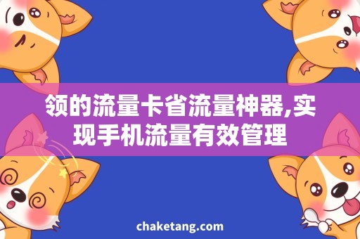 领的流量卡省流量神器,实现手机流量有效管理