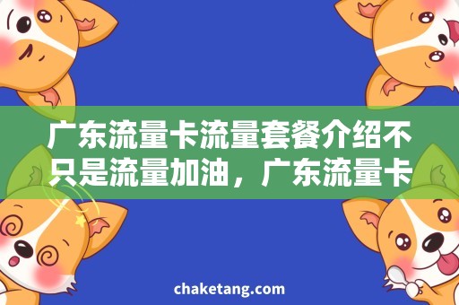 广东流量卡流量套餐介绍不只是流量加油，广东流量卡全新套餐引领流量时代！