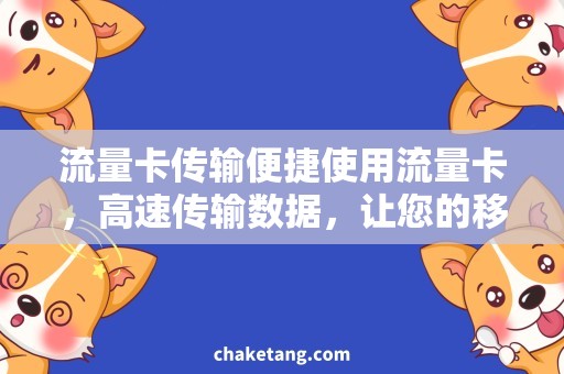 流量卡传输便捷使用流量卡，高速传输数据，让您的移动互联更畅通