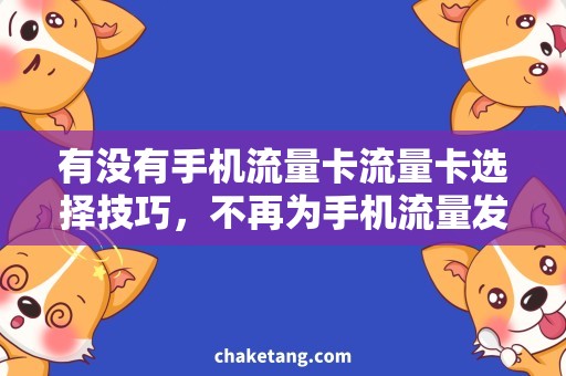 有没有手机流量卡流量卡选择技巧，不再为手机流量发愁
