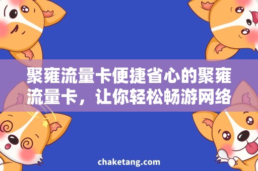 聚雍流量卡便捷省心的聚雍流量卡，让你轻松畅游网络世界!