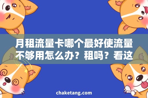 月租流量卡哪个最好使流量不够用怎么办？租吗？看这里！