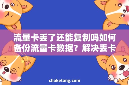 流量卡丢了还能复制吗如何备份流量卡数据？解决丢卡后数据跑路问题