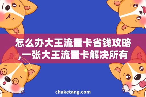怎么办大王流量卡省钱攻略,一张大王流量卡解决所有需求