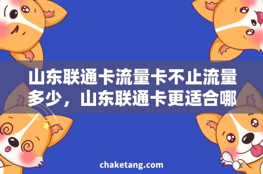 山东联通卡流量卡不止流量多少，山东联通卡更适合哪种流量需求？
