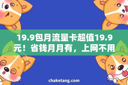 19.9包月流量卡超值19.9元！省钱月月有，上网不用愁！