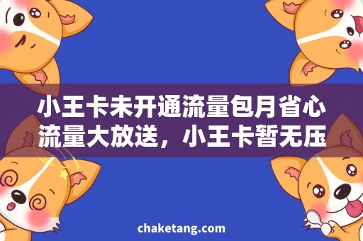 小王卡未开通流量包月省心流量大放送，小王卡暂无压力！